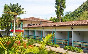 Dreamer Cocora